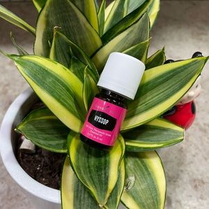 Young Living Hyssop Essential Oil